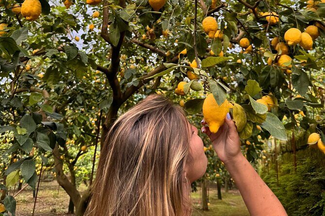 Nonno Mario Sorrento Lemon tour - FAQ