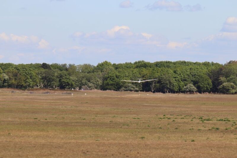 Noordwijk: Beach and Dunes Bike Tour - The Experience: What Travelers Say