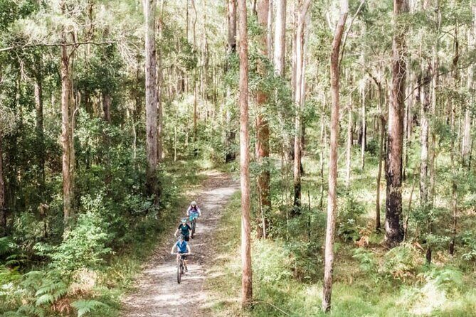 Noosa eMtn Bike Tour: Exploring a National Park on Fun MTB Trails - Key Points