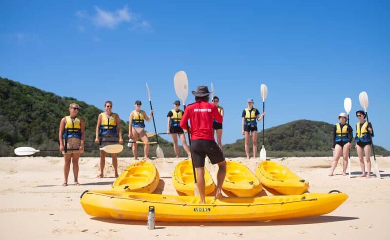 Noosa: Epic Ocean Kayak with Dolphins & 4WD Beach Adventure - An Honest Look at What to Expect