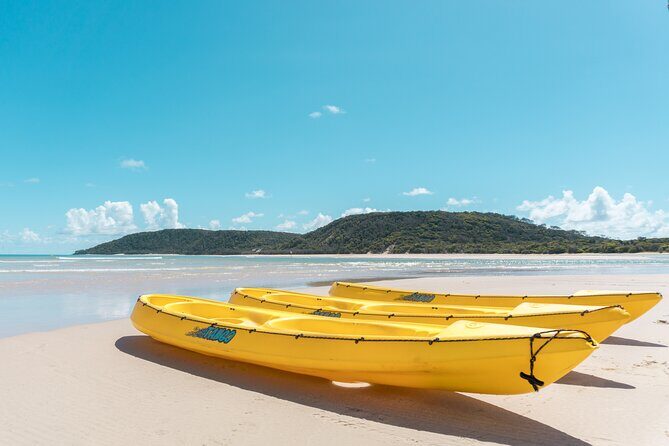 Noosa: Epic Whale Watching On Ocean Kayaks & Beach 4X4 Tour - The Sum Up