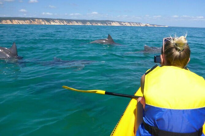 Noosa: Epic Whale Watching On Ocean Kayaks & Beach 4X4 Tour - FAQ