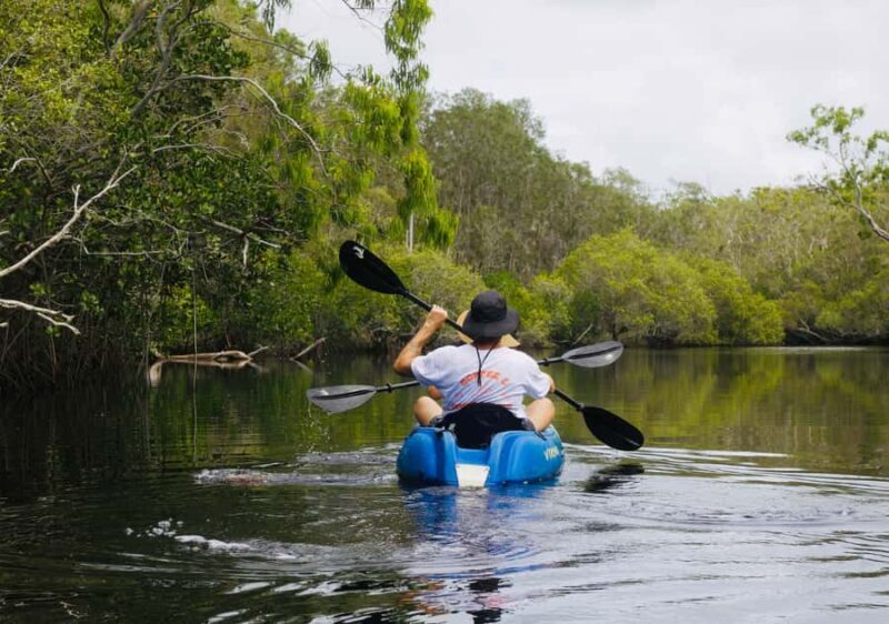 Noosa: Noosa Everglades and Stingray Sanctuary Kayak Tour - The Kayaking Experience: Comfort, Fitness, and Group Dynamics