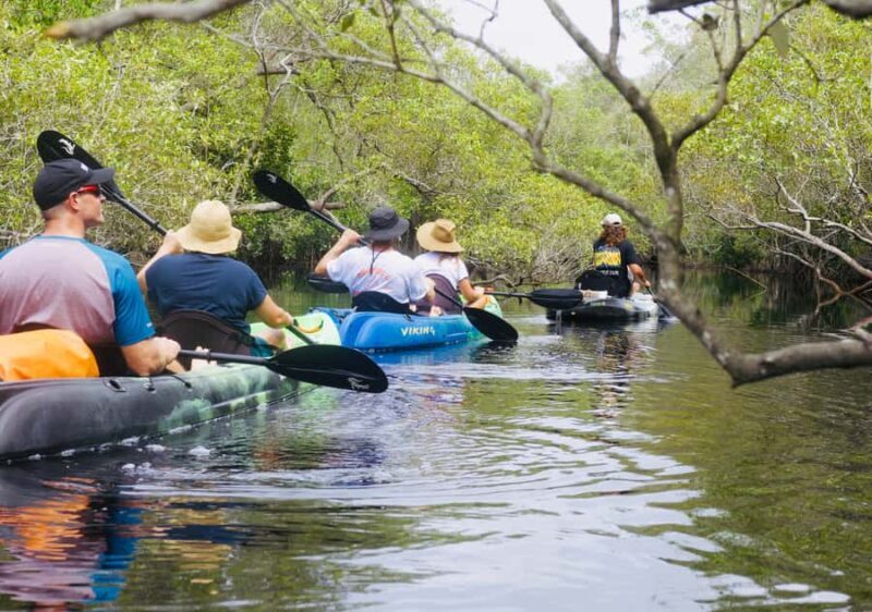 Noosa: Noosa Everglades and Stingray Sanctuary Kayak Tour - Cost and Value: What Are You Paying For?