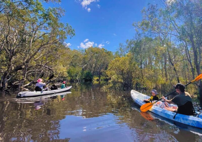Noosa: Noosa Everglades and Stingray Sanctuary Kayak Tour - The User Feedback: Real Insights from Past Participants