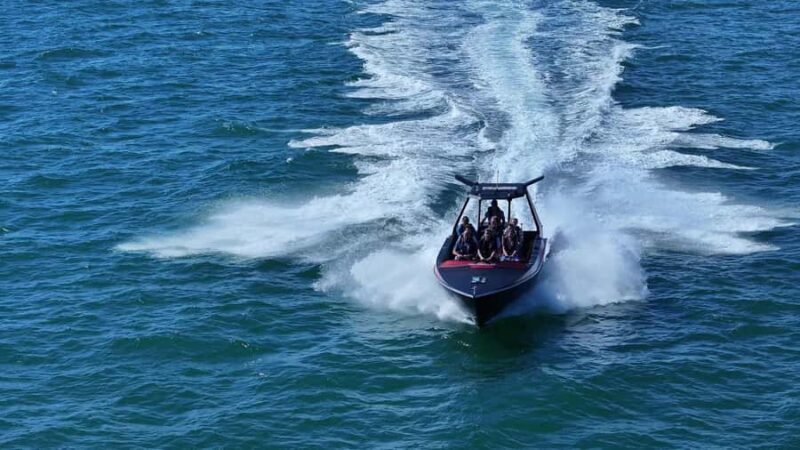 Noosa: Noosa Ocean Adventure with Dolphin Watching - Pricing and Value