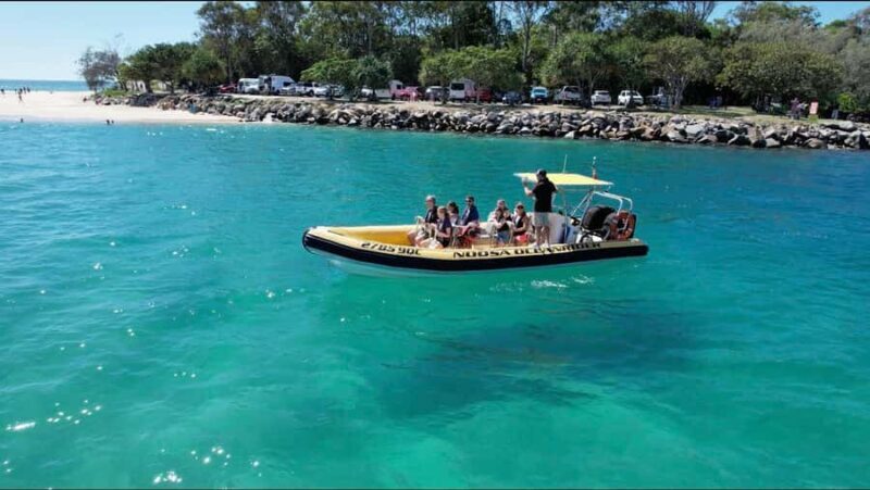 Noosa Ocean adventure & Dolphin Safari. - Key Points
