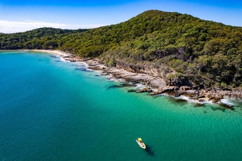 Noosa Ocean adventure & Dolphin Safari. - An Overview of the Experience