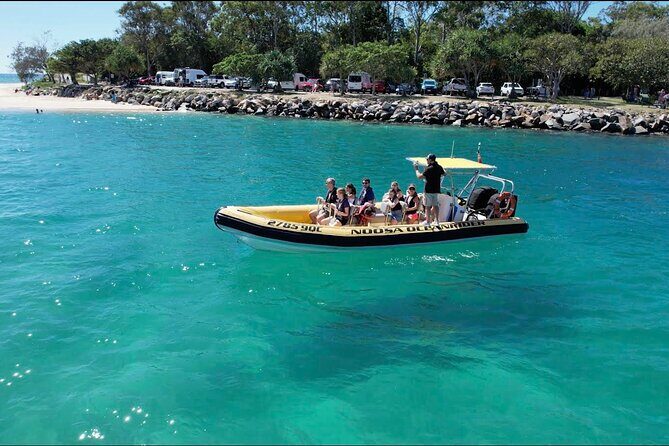 Noosa ocean adventure & Dolphin safari. - Key Points
