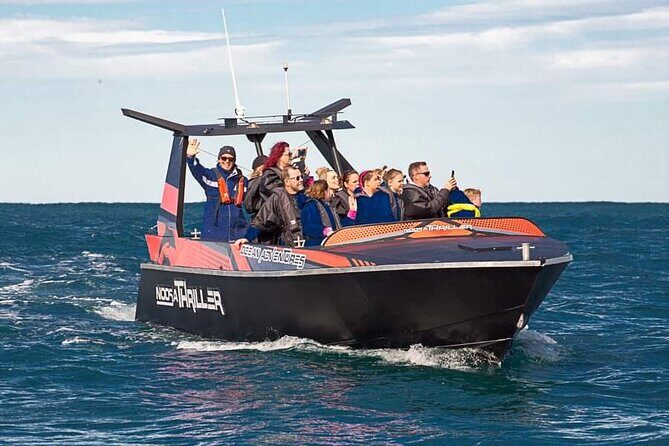 Noosa Ocean Adventures: Dolphins - Key Points