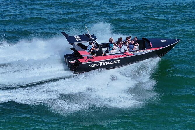 Noosa Ocean Adventures: Dolphins - An Honest Look at the Experience