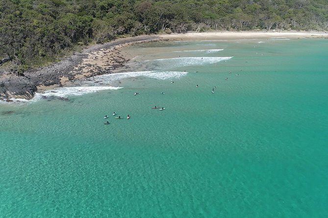 Noosa Ocean Adventures: Dolphins - Wildlife and Marine Life