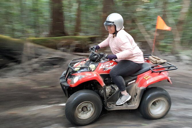 Noosa Quad Bike Tours - The Sum Up