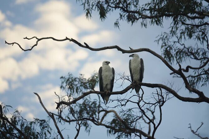 Noosa Queen Sunset Cruise River - The Practical Details