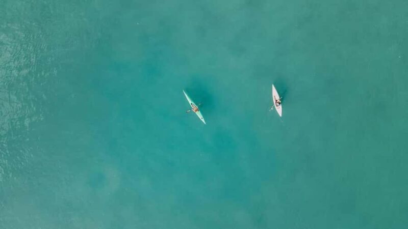 Noosa River: Mangroves and Mansions Guided Kayak Tour - Key Points