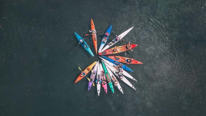 Noosa River: Mangroves and Mansions Guided Kayak Tour - Why This Tour Stands Out