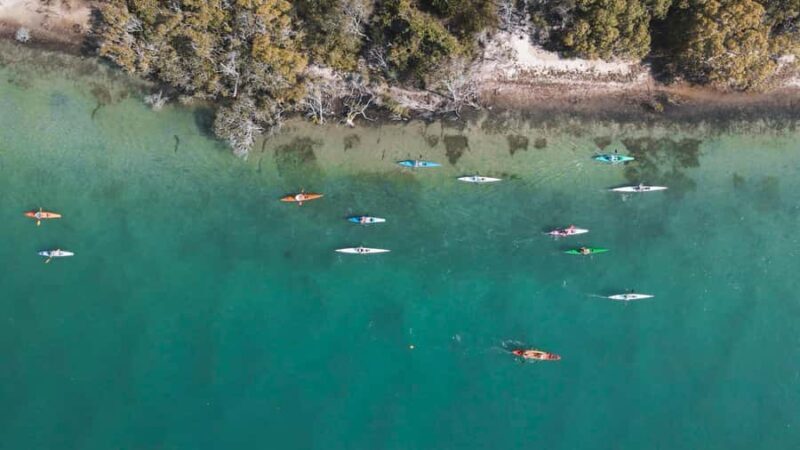 Noosa River: Mangroves and Mansions Guided Kayak Tour - Practical Details and What to Expect