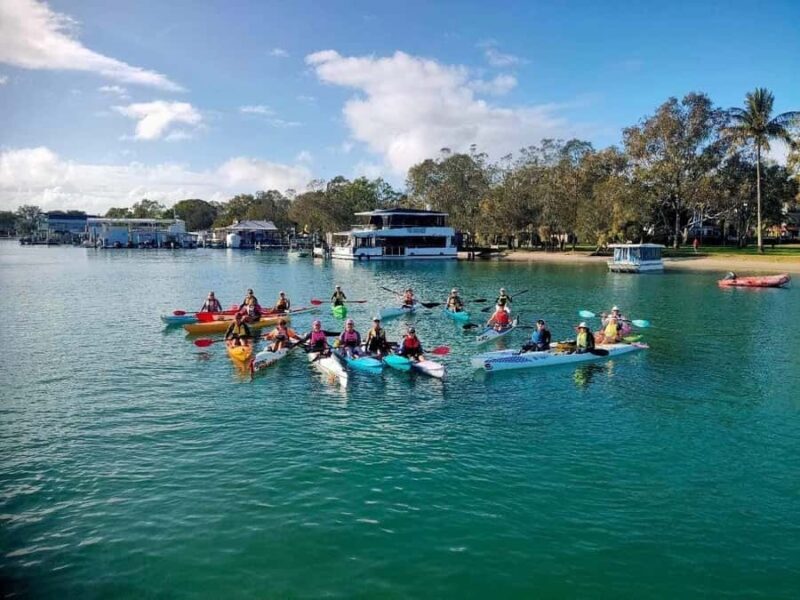 Noosa River: Mangroves and Mansions Guided Kayak Tour - The Bottom Line: Who Will Love This Tour?