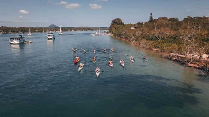 Noosa River: Mangroves and Mansions Guided Kayak Tour - FAQ