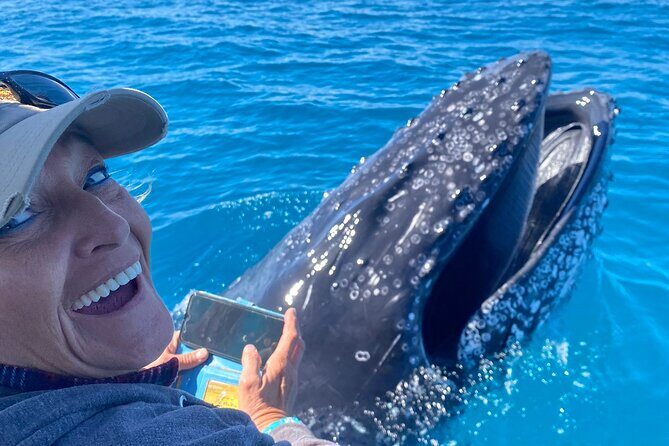 Noosa Whale Watching Cruise  Humpback Whale Adventure - Who This Tour Is Best For