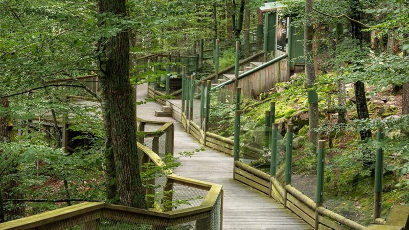 Nordens Ark Entry Ticket - Supporting the Conservation Work