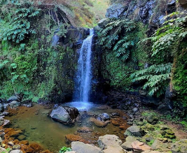 Nordeste/Northeast coast FULL DAY Waterfalls Hike - FAQ