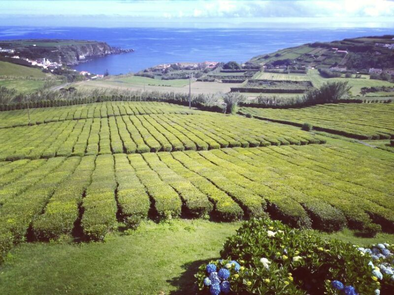 Nordeste Private Tour (2 people) - Exploring the Nordeste Region in Detail