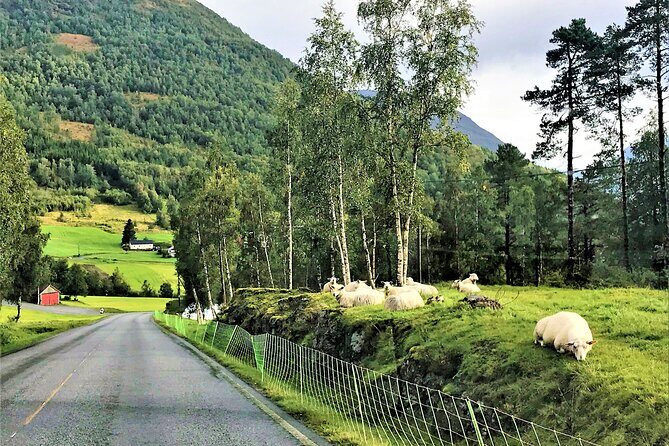 Nordfjordeid Private Shore Excursion, Glaciers and SkyLift Ride - Who Is This Tour Best For?