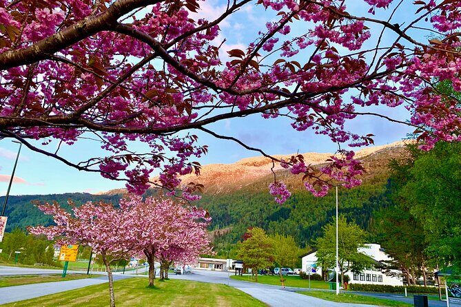 Nordfjordeid Private Shore Excursion, Glaciers and SkyLift Ride - FAQ