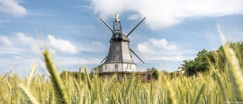 Nordstrand: Day trip by boat to Föhr - What to Expect on the Trip