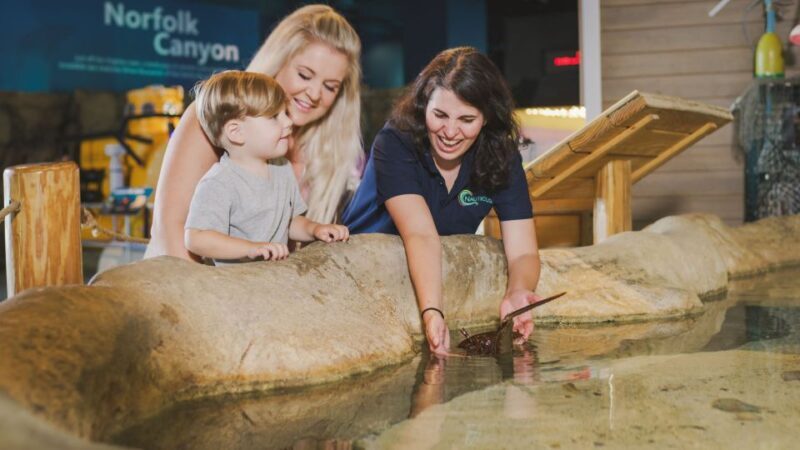 Norfolk: Virginia Zoo & Battleship Wisconsin Combo Ticket - Discovering Norfolk’s Top Sights