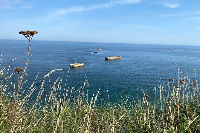 Normandy American & British DDay Beaches Halfday Tour from Bayeux - The Sum Up