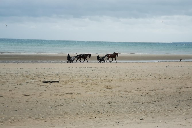 Normandy Beaches Half-Day Afternoon Trip from Bayeux (A2) - Booking Considerations