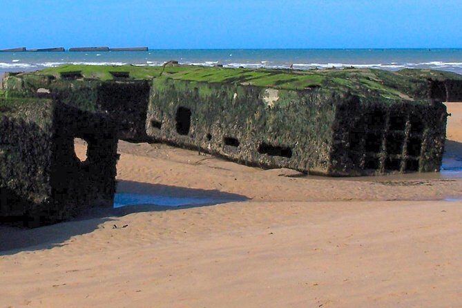 Normandy D-Day Landing Beaches Guided Tour from Paris by minivan - Flexibility and Comfort