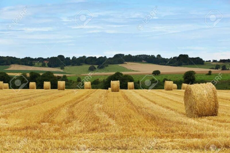 Normandy: D-Day sites Private Mustang Convertible Tour - FAQ