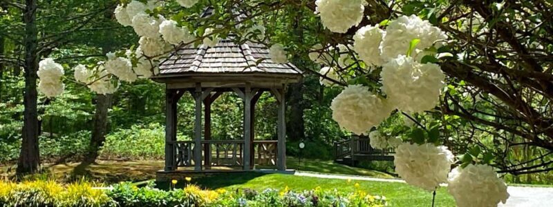 North Atlanta: Gibbs Gardens Self-Guided Slingshot Tour - The Experience in Depth