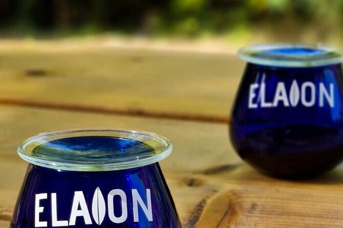 North Corfu Olive Tour With Olive oil Tasting & Meze - Exploring the North Corfu Olive Tour With Olive Oil Tasting & Meze