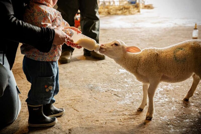 North Cotswolds: Farm Experiences at The Vodka Farm - A Closer Look at the Farm Tour Experience