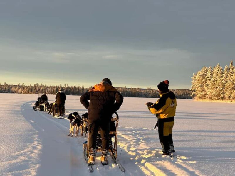 North, Dogs, Snowmobiles & Lights - The Authentic Touch