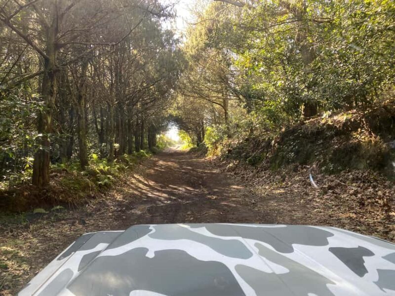 North-East Madeira Jeep Safari nature Lovers Open Roof Jeeps - Final Stop and Viewpoints