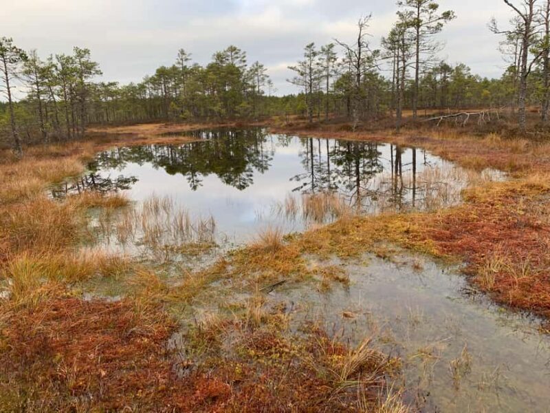 North Estonia: Nature and Mystery Tour - Practical Details & Considerations