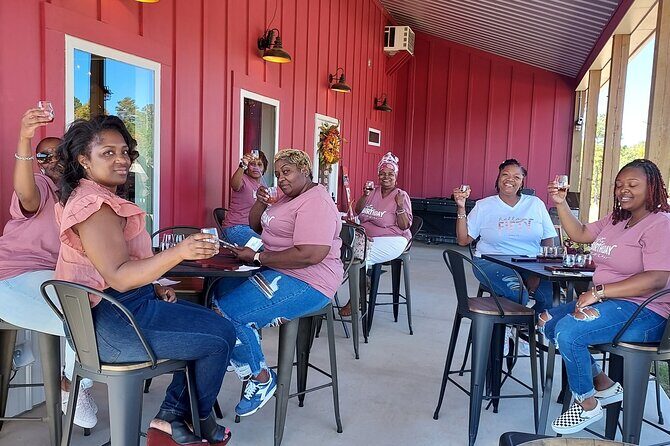 North Georgia Mountains Three Vineyard Wine Tasting Tour - Key Points