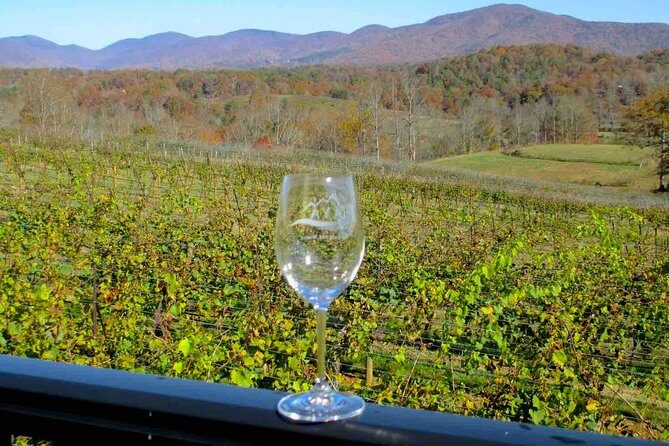 North Georgia Wine Country Tour from Atlanta - Who Should Consider This Tour?