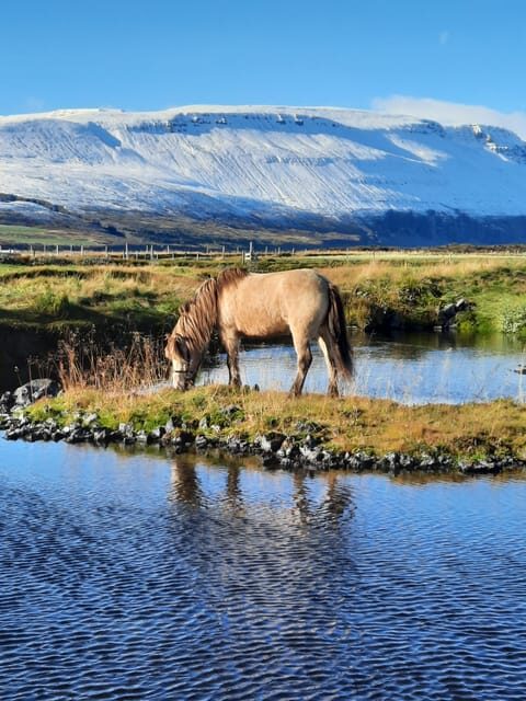 North Iceland: Horseback Riding Tour - Key Points