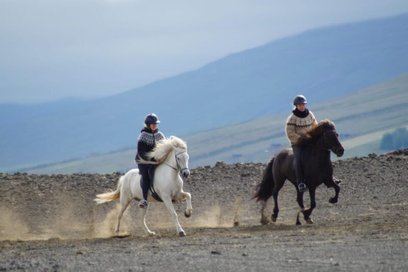North Iceland: Horseback Riding Tour - What to Expect on the Ride