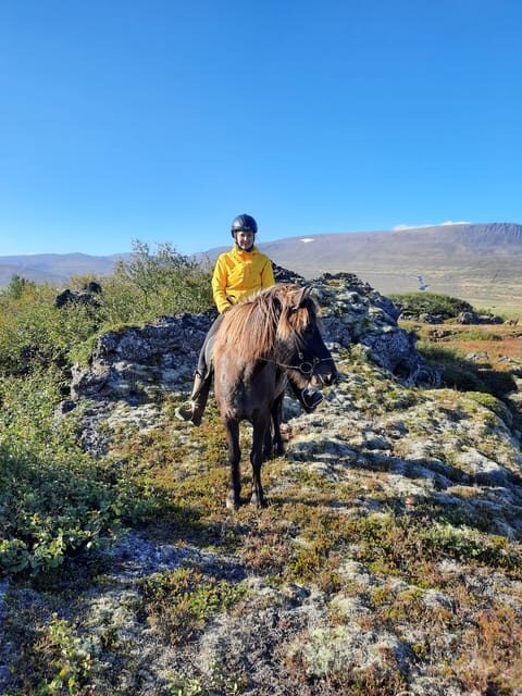 North Iceland: Horseback Riding Tour - Practical Details and Value