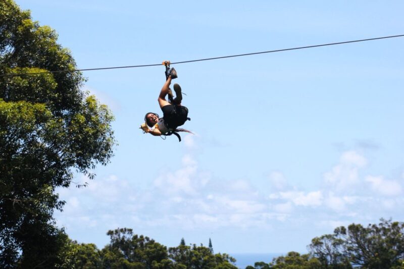 North Maui: 7 Line Zipline Adventure with Ocean Views - Key Points
