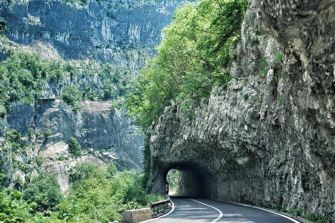 North of Montenegro Private Tour - Tara Canyon & National Parks - Who Should Consider This Tour?