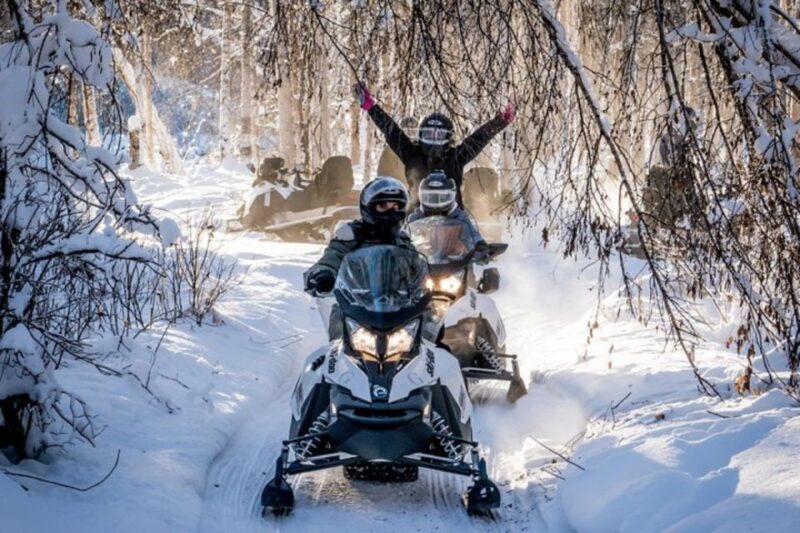 North Pole Alaska: Guided Fairbanks Snowmobile Tour - The Experience from Real Travelers
