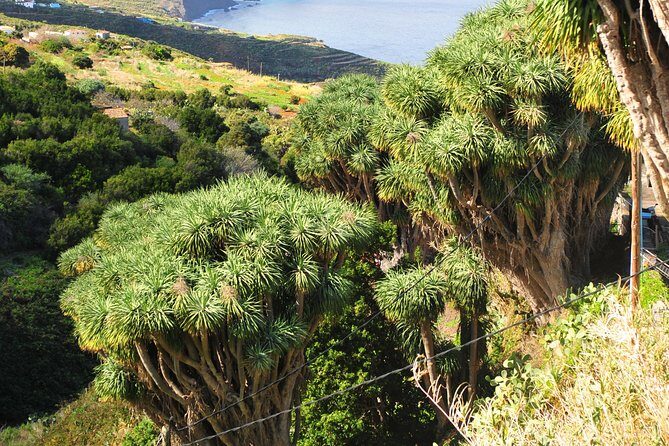 North Route (Price per vehicle, not per person) - Accessibility and Practicalities